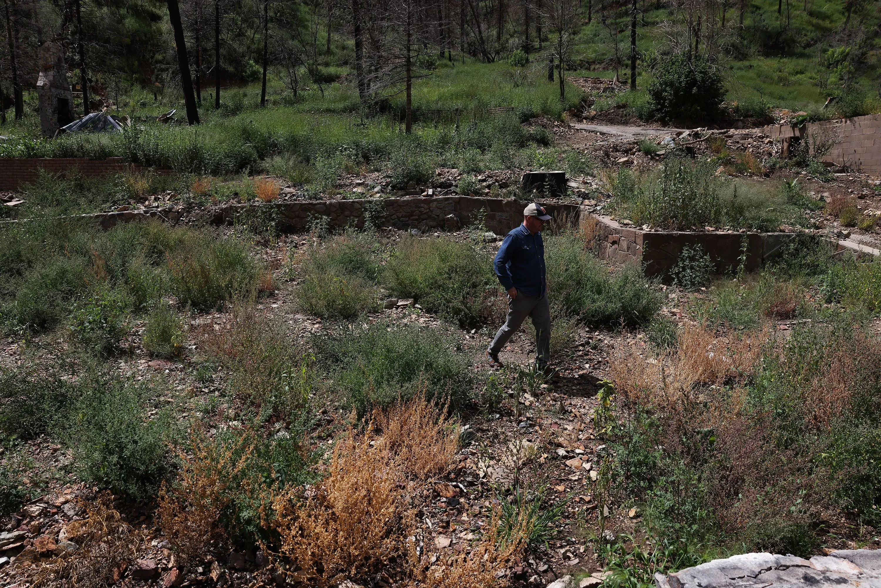 رجل يمشي في منطقة مدمرة تغطيها الأعشاب بعد الفيضانات، محاط بأطلال المنازل المدمرة في رويدوسو، نيو مكسيكو.