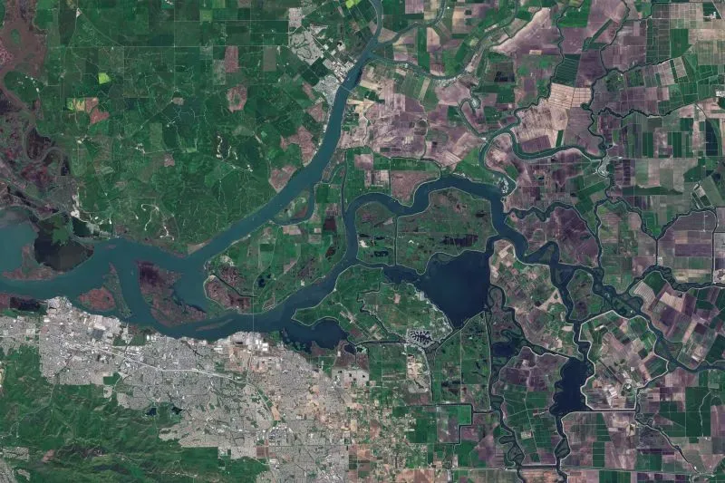 صورة جوية توضح دلتا ساكرامنتو-سان جواكين، حيث تتداخل الأنهار والمزارع في منطقة كاليفورنيا، مع التركيز على الموارد المائية.