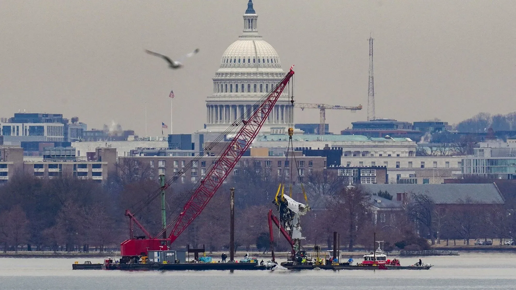 جهود انتشال الحطام من نهر بوتوماك مستمرة، مع استخدام رافعة لرفع أجزاء من الطائرة بالقرب من مبنى الكابيتول في واشنطن.