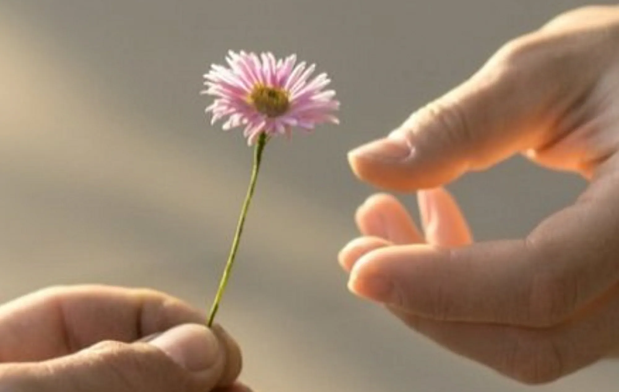 لحظة مؤثرة لتبادل الهدايا خلال الأعياد، حيث يحتضن شخصان بعضهما البعض بسعادة، مع شجرة عيد الميلاد في الخلفية.