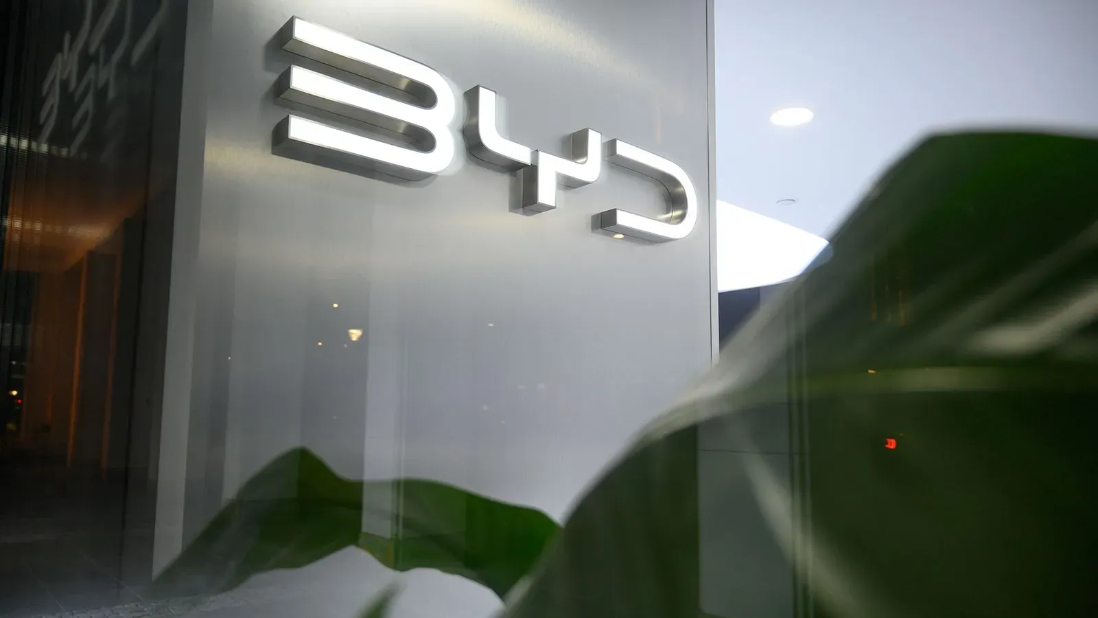 شعار شركة BYD مضيء في واجهة المبنى، مع ظهور بعض أوراق النباتات في المقدمة، مما يعكس الابتكار في صناعة السيارات الكهربائية.