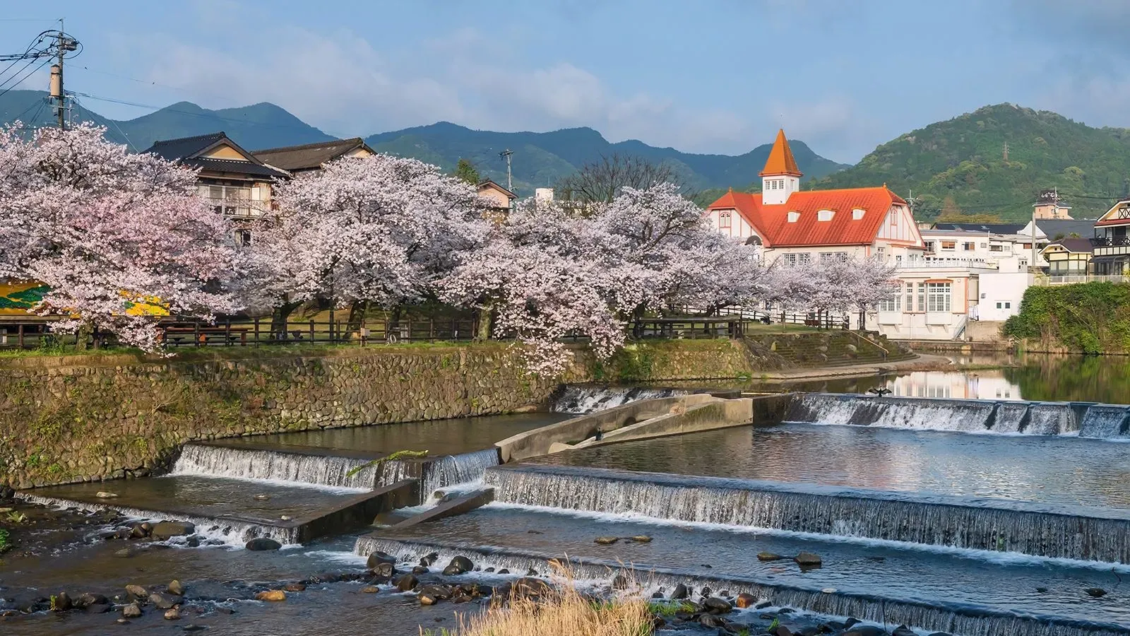 مناظر طبيعية جميلة في أوريشينو، اليابان، مع أشجار الكرز المزهرة ومياه الينابيع الساخنة، تعكس تأثير السياحة على المنطقة.