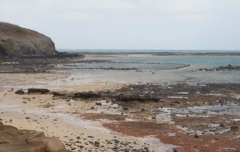 مشهد لساحل تايوان يظهر الصخور والرمال والمياه، حيث تم اكتشاف عظم الفك الدينيسوفاني، مما يسلط الضوء على أهمية الاكتشافات الأثرية في فهم التطور البشري.