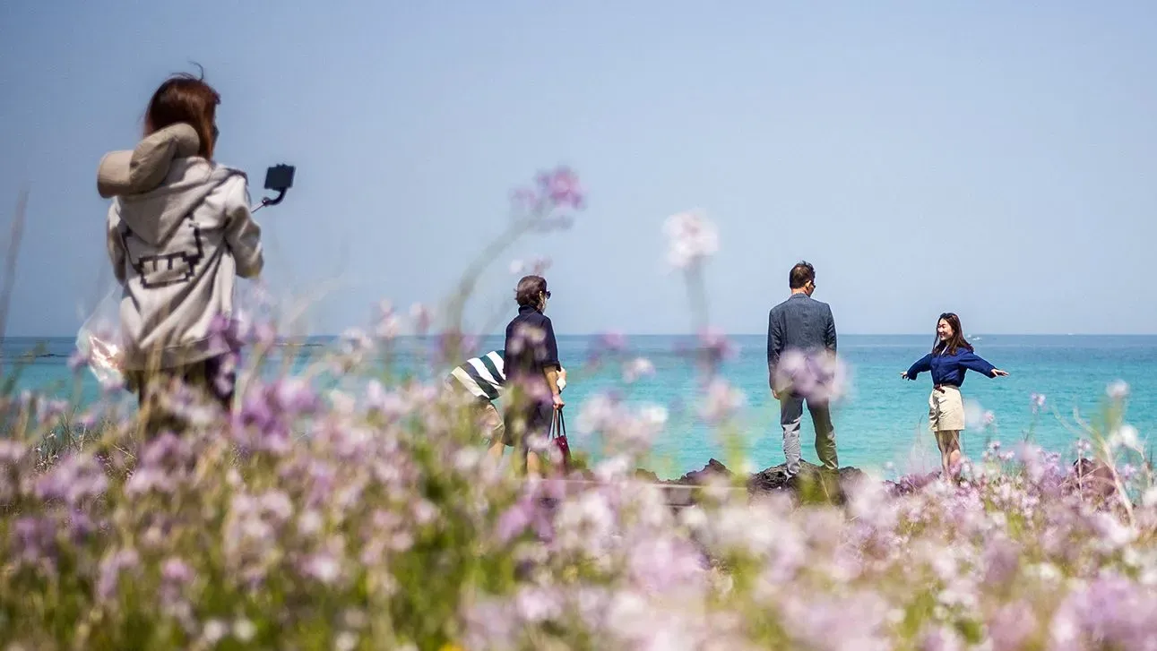 مجموعة من السياح يستمتعون بجمال طبيعة جزيرة جيجو، مع خلفية من البحر الأزرق وأزهار الربيع، تعبيرًا عن السياحة المستدامة.