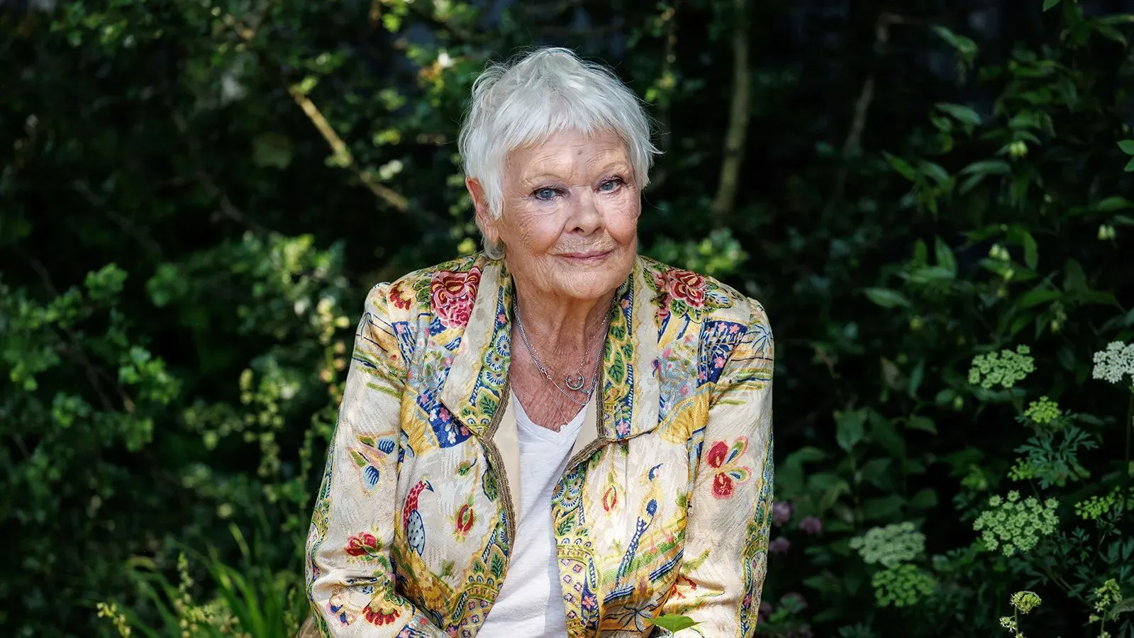 تظهر السيدة جودي دينش في حديقة، ترتدي سترة ملونة، حيث تجلس وتبتسم، مع إشارة إلى معاناتها من ضعف البصر.