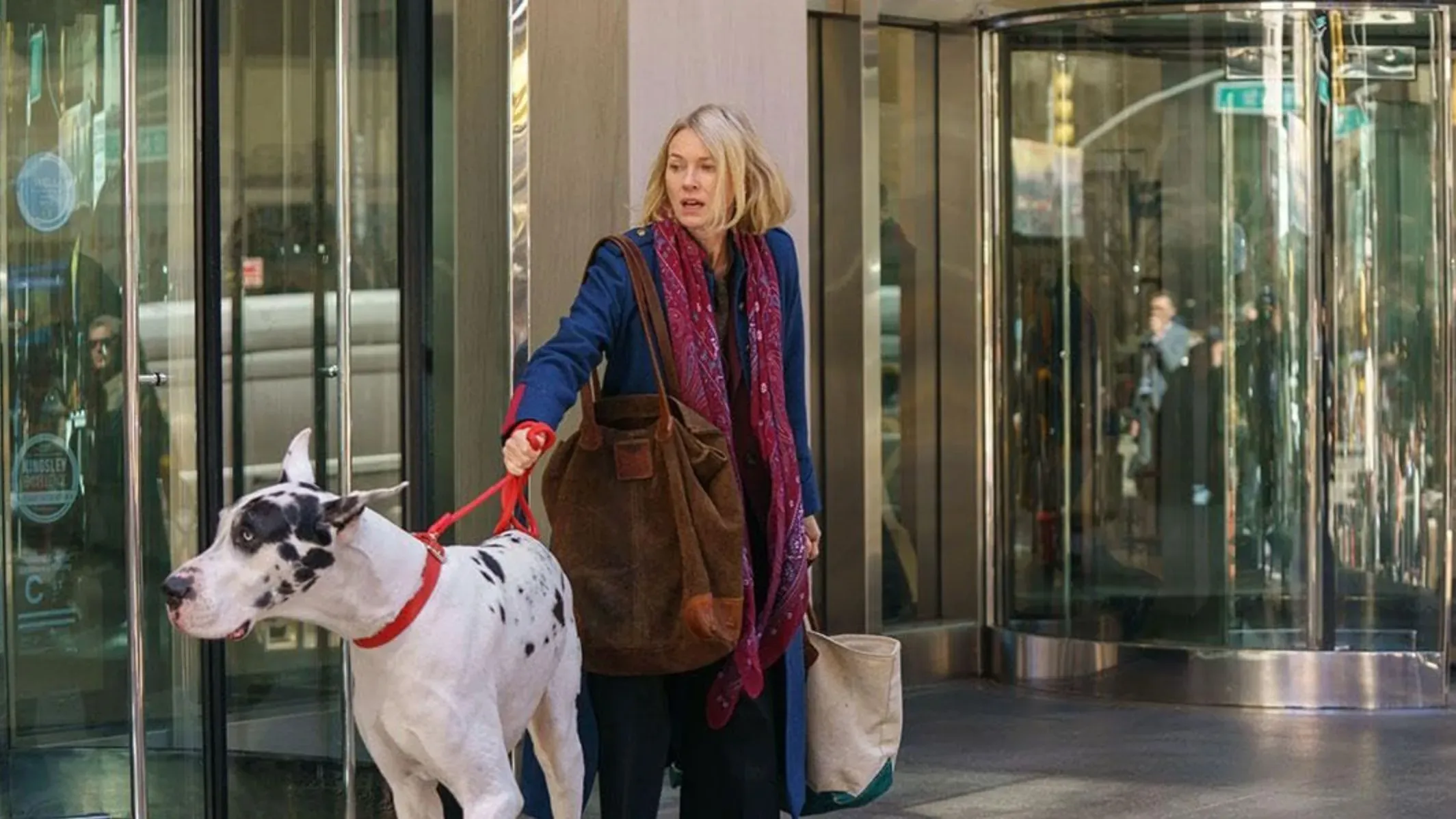 امرأة تحمل حقيبة وتخرج من مبنى مع كلب كبير من سلالة داين، تعكس لحظة عابرة في الحياة الحضرية.