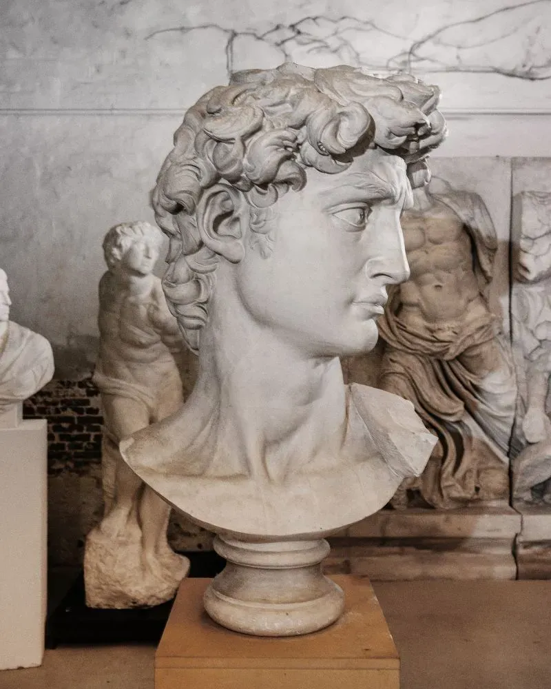 تمثال نصفي لداوود لمايكل أنجلو، يظهر تفاصيل دقيقة في الشعر والوجه، محاط بنسخ أخرى من المنحوتات في معرض فني.