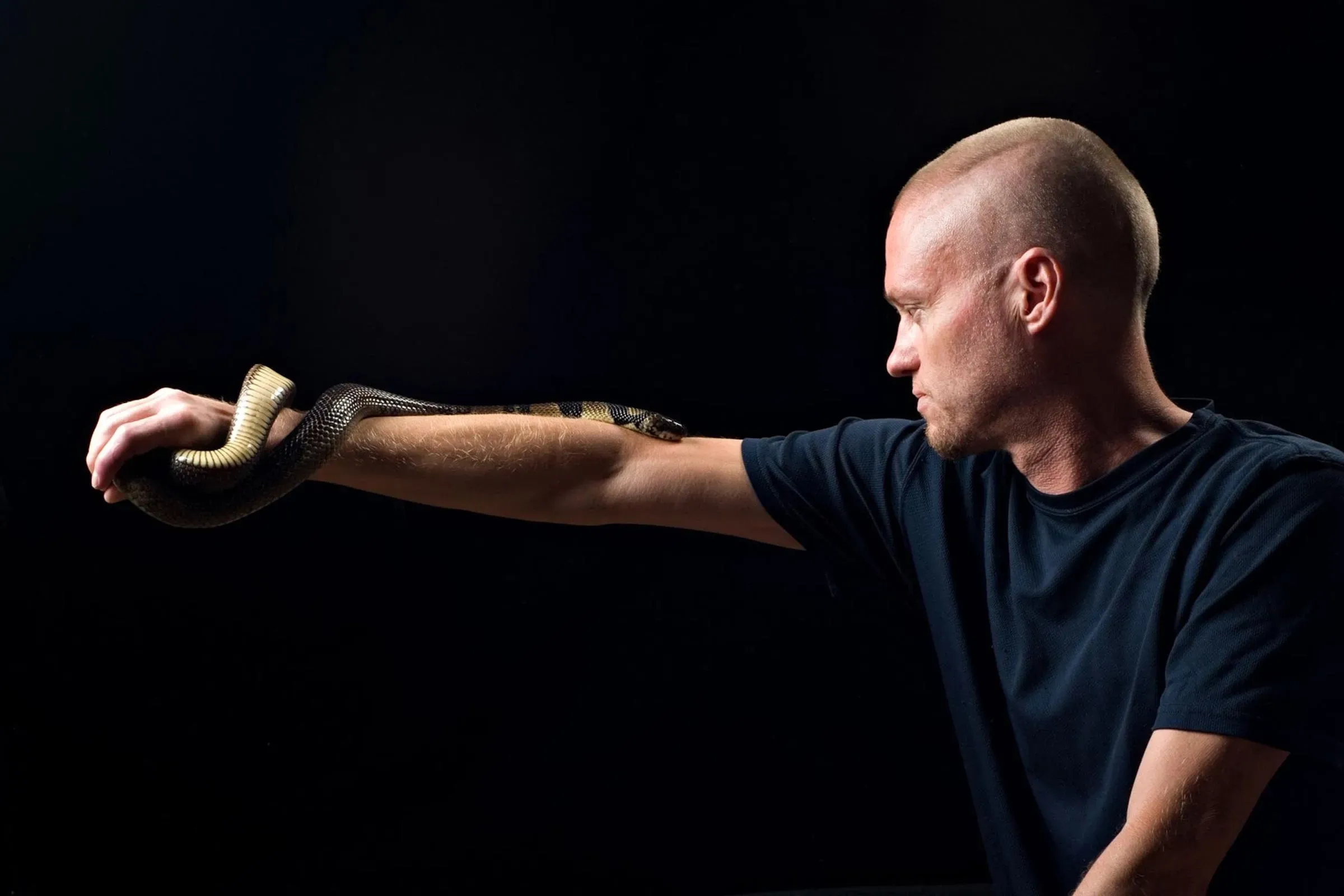 رجل يحمل أفعى كوبرا على ذراعه، يعكس تجاربه مع سموم الثعابين وأبحاث تطوير مضاد للسموم.