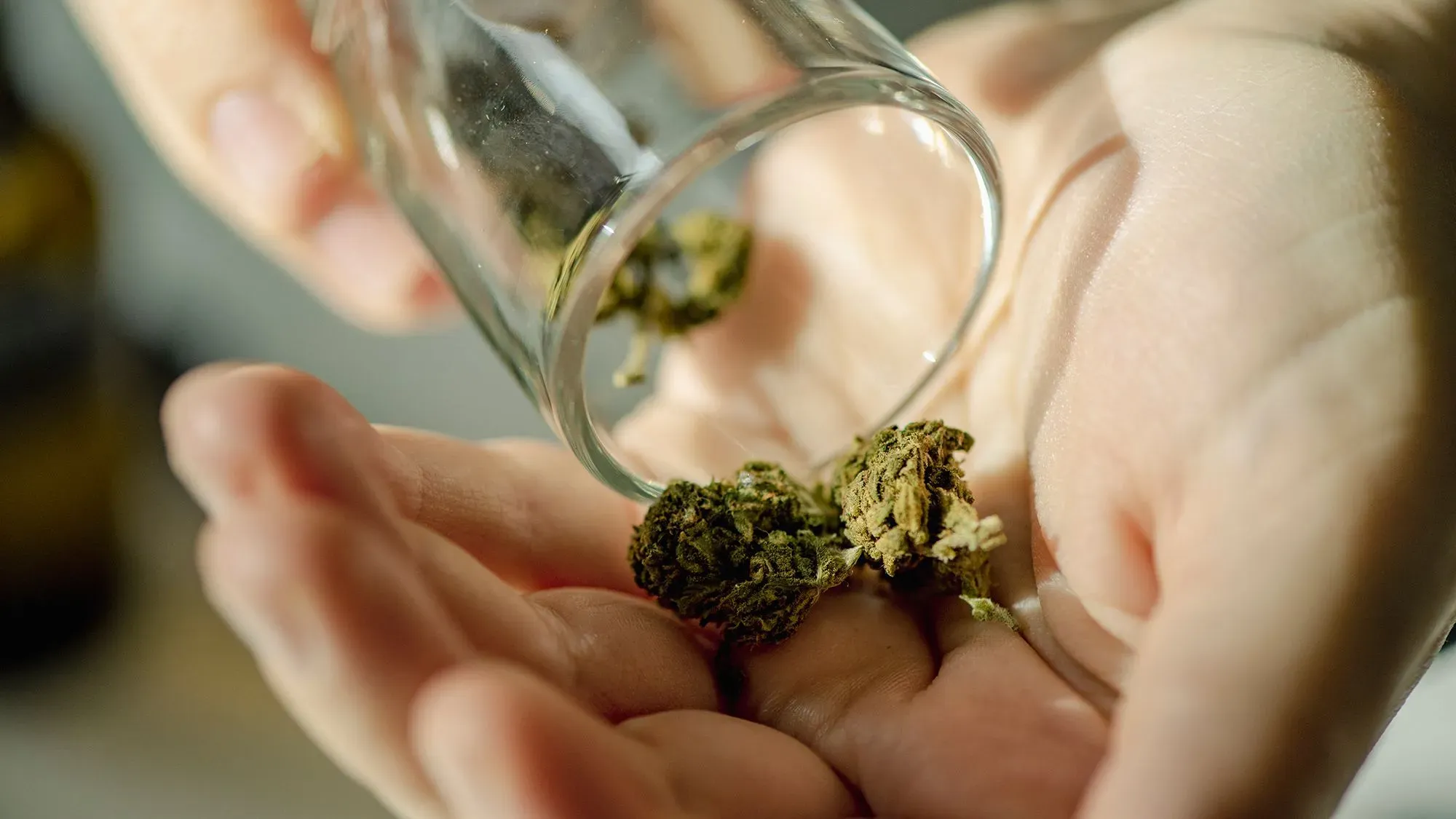 يد تظهر يدين تحملان زهور الماريجوانا بينما يتم سكبها من زجاجة، مما يبرز أساليب التسويق الموجهة للشباب.