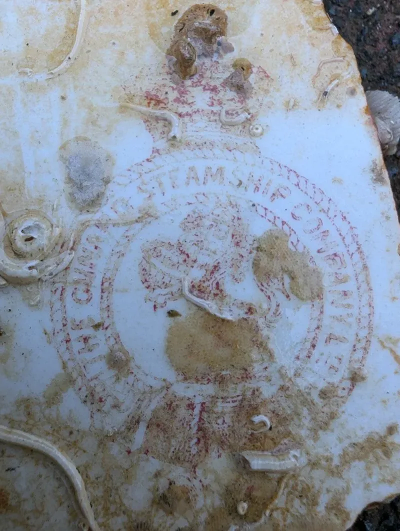 اكتشاف قطعة فخارية تحمل ختم "شركة كونارد للسفن البخارية" من حطام السفينة SS Nantes الغارقة منذ 140 عامًا قبالة سواحل بريطانيا.