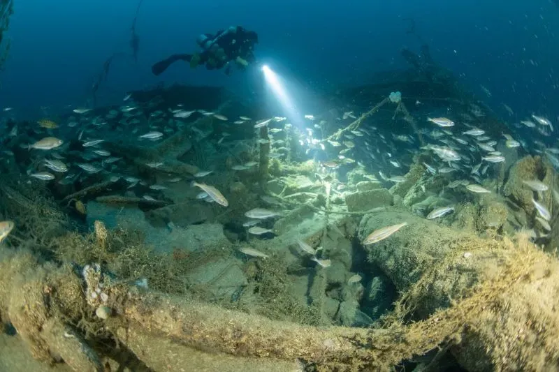 غواص يستكشف حطام سفينة "إس إس نانت" الغارقة، محاطًا بالأسماك، مع شعاع ضوء يكشف تفاصيل الموقع تحت الماء.