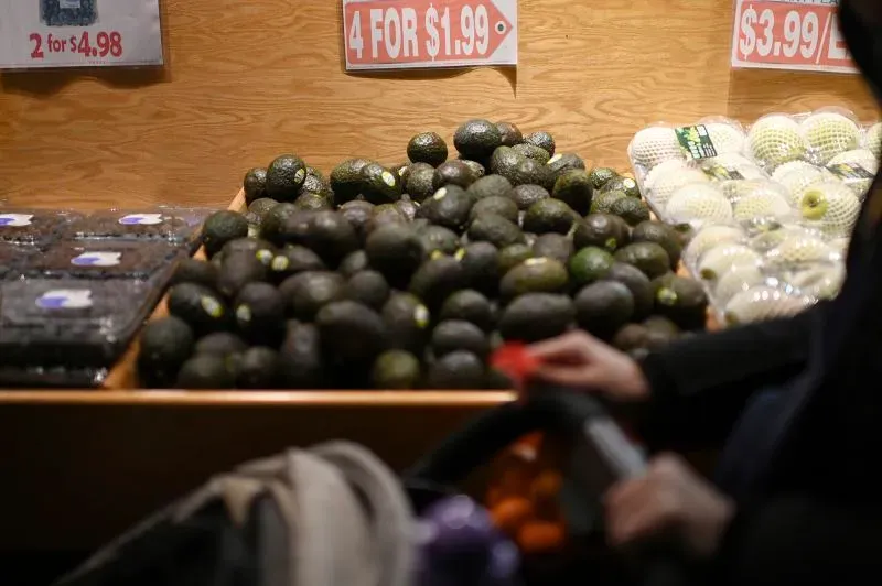 سوق يحتوي على كميات كبيرة من الأفوكادو، مع لافتات أسعار توضح العروض، بينما تظهر يد شخص يحمل عربة تسوق.