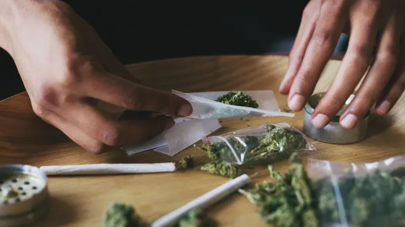 شخص يقوم بلف سجائر من الماريجوانا على طاولة، مع ظهور أكياس صغيرة من الماريجوانا ومنتجات أخرى لها، تعكس تأثير الاستخدام المتكرر على الذاكرة.