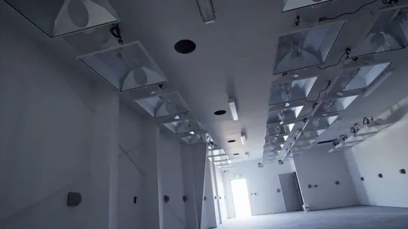 غرفة فارغة تحتوي على مصابيح سقف متعددة وأسلاك، وتفتقر للتزيين أو الأثاث، مما يعكس بيئة تجريبية لدراسة تأثير الماريجوانا على الدماغ.