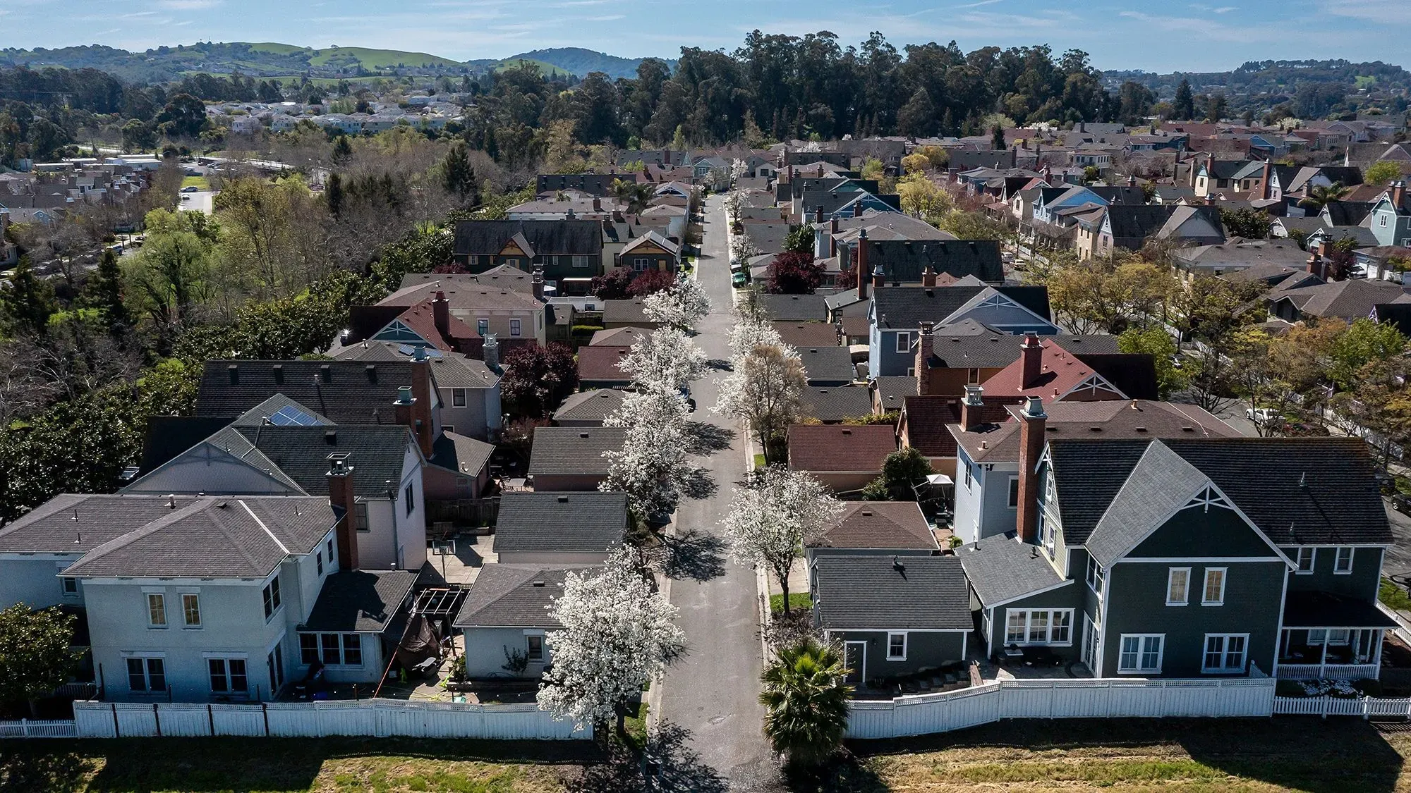 منظر جوي لحي سكني يتضمن منازل متعددة الطوابق وأشجار مزهرة، يعكس تأثير ارتفاع أسعار الفائدة على سوق العقارات في الربيع.