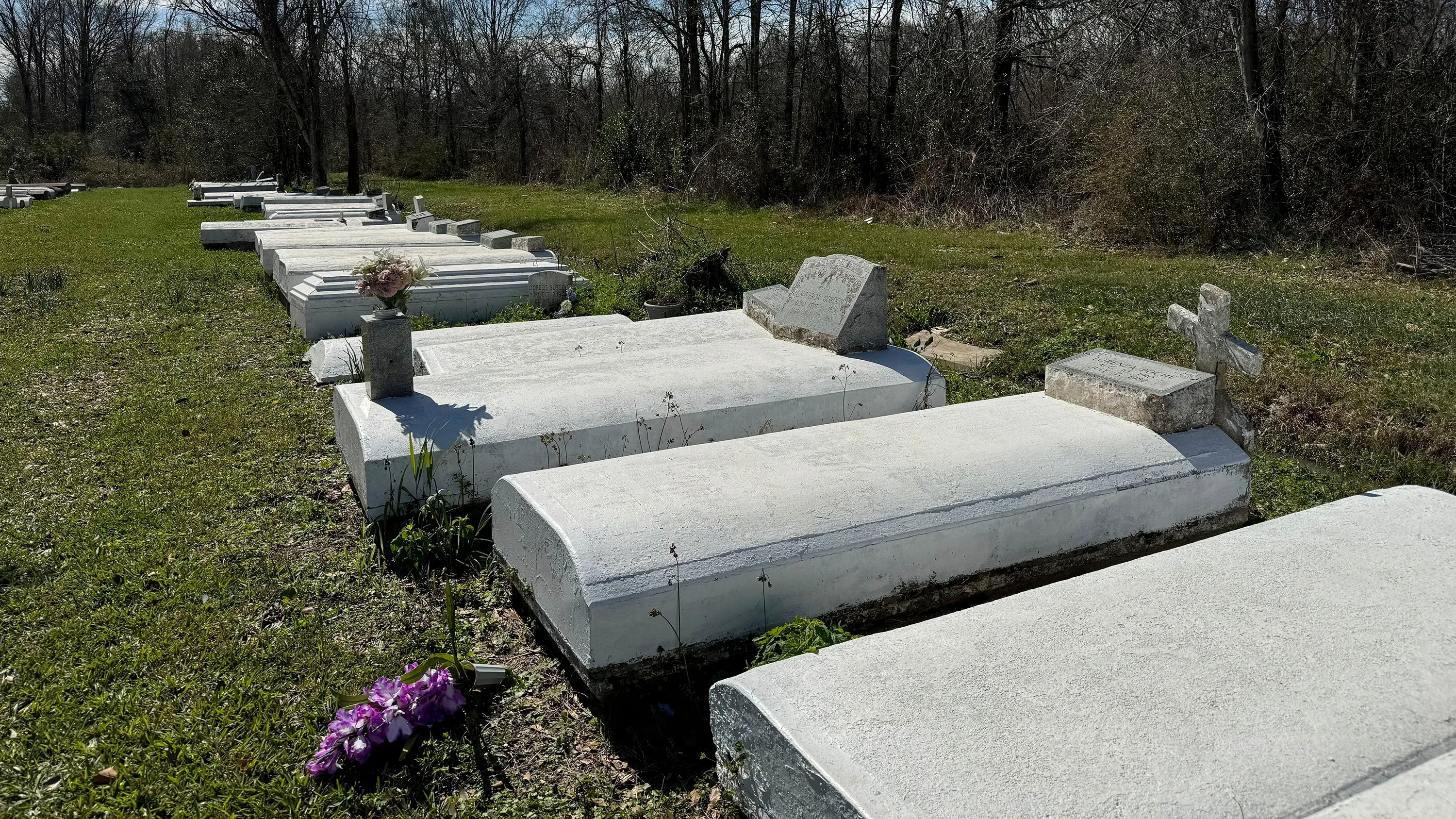 مقبرة تضم شواهد قبور بيضاء في منطقة زراعية بلويزيانا، تعكس تاريخ المجتمع الأفرو-كريولي والثقافة المحلية.