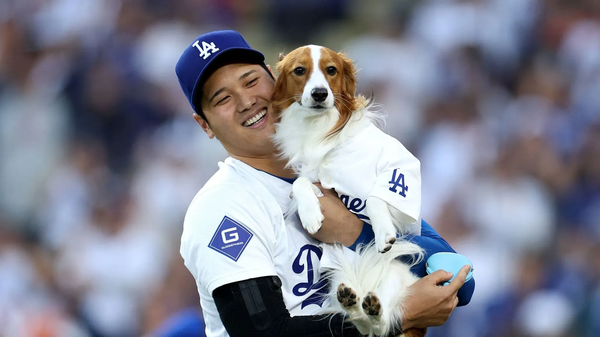 شوهاي أوهتاني يحمل كلبه ديكوي، الذي يرتدي قميص لوس أنجلوس دودجرز، في ملعب البيسبول، مع ابتسامة تعكس حبه للعبة.