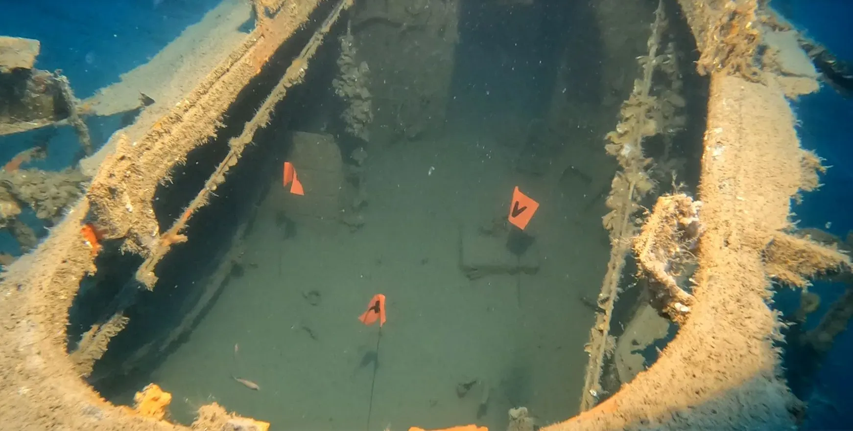 حطام طائرة جرومان تي بي إف أفنجر مقلوبة في قاع البحر، مغطاة بالشعاب المرجانية، مع أسماك ملونة تتجول حولها، في ميناء سايبان.