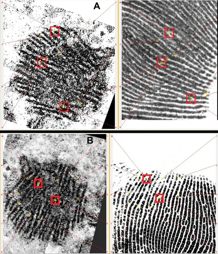 بصمة إصبع إنسان نياندرتال على حصاة في ملجأ سان لازارو، تُظهر استخدام الصبغة الحمراء، مما يدل على الثقافة البصرية للإنسان البدائي.