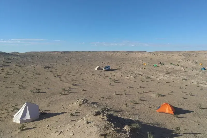 صورة لموقع حفريات في صحراء غوبي، تظهر خيامًا ملونة وسط المناظر الطبيعية القاحلة، حيث يُجرى بحث عن الديناصور دونيكوس تسوغتباتاري.