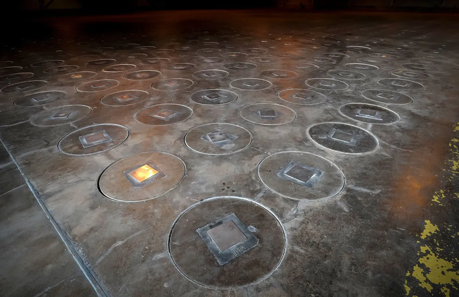 عشب يحتوي على فتحات دائرية في الأرض، تشير إلى مواقع خزانات النفايات النووية في موقع ساوث كارولينا، حيث تم العثور على عش دبابير مشع.