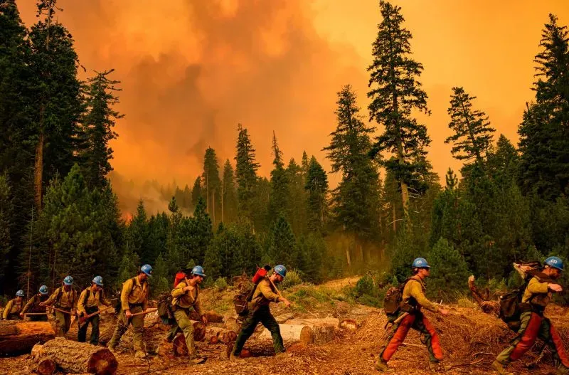 رجال إطفاء يرتدون خوذات زرقاء يعملون في منطقة مشتعلة، محاطين بأشجار كثيفة، بينما تتصاعد ألسنة اللهب في السماء البرتقالية.