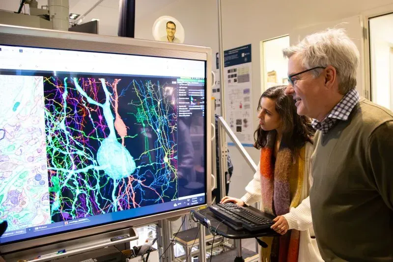 عالمتان تدرسان خريطة ثلاثية الأبعاد لدماغ فأر على شاشة عرض، تظهر تفاصيل الخلايا العصبية والتوصيلات بينها.