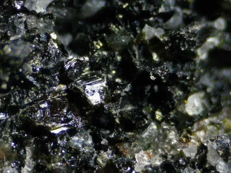 صورة مقربة لصخور معقدة من حزام نوفواجيتوك الأخضر في شمال كيبيك، تشير إلى أقدم الصخور المعروفة على الأرض، عمرها أكثر من 4.16 مليار سنة.