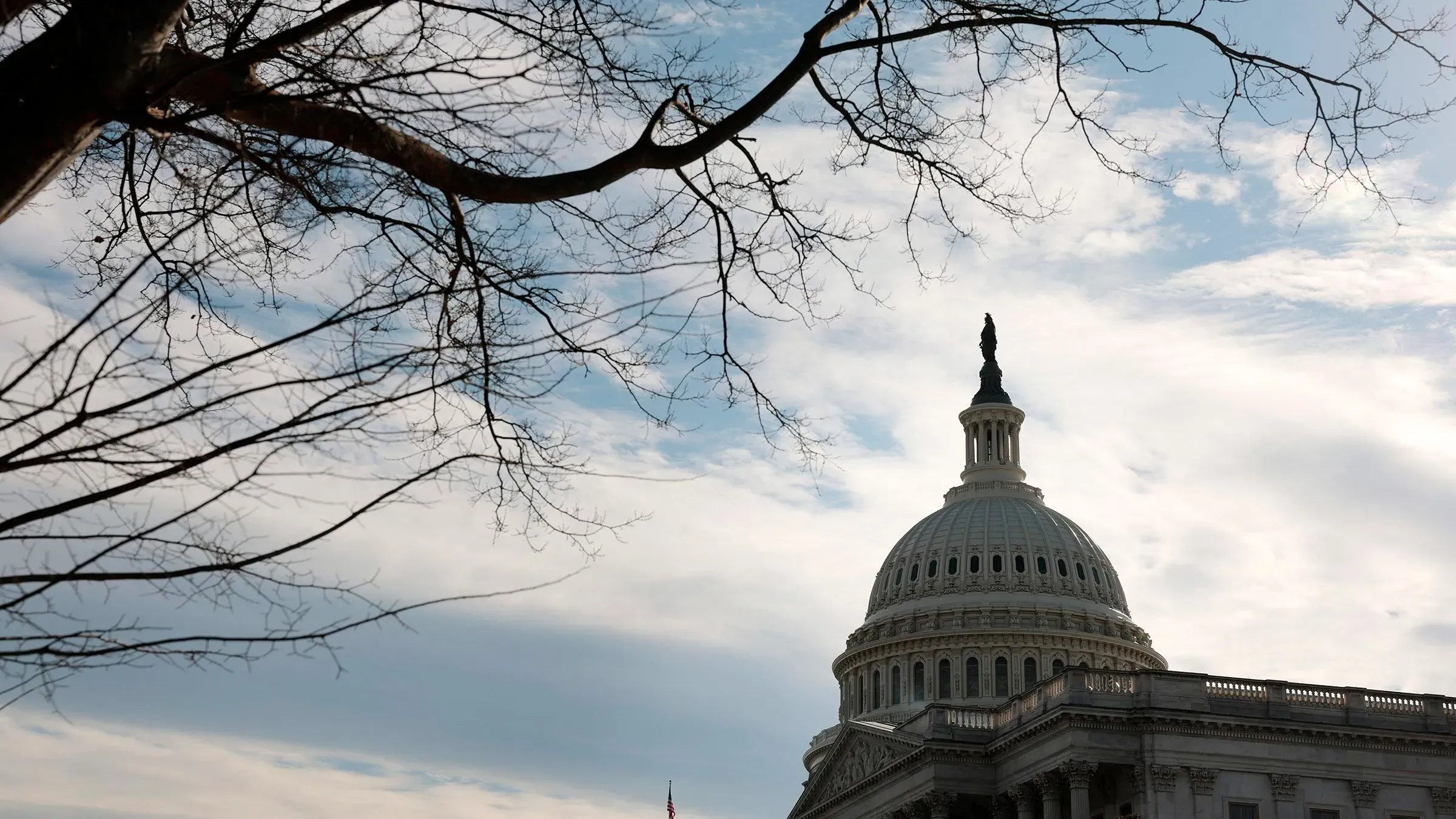 قبة مبنى الكابيتول الأمريكي تحت سماء ملبدة بالغيوم، مع فروع الأشجار العارية في المقدمة، تعكس أجواء السياسة والتشريعات الجارية.