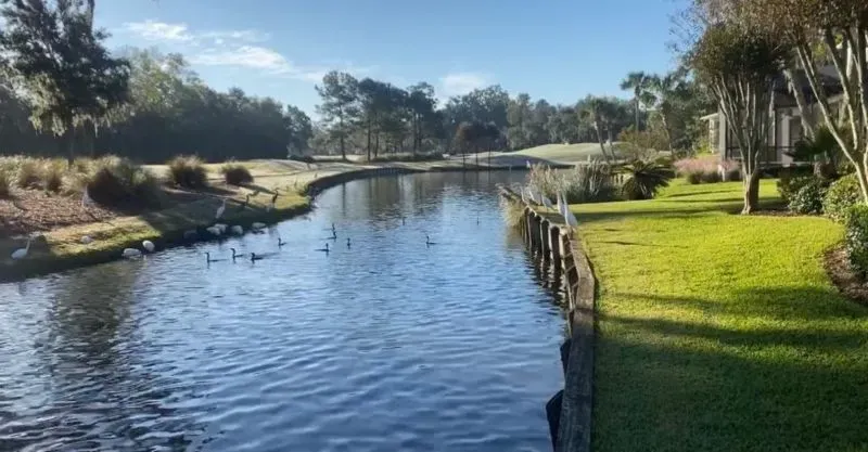منظر هادئ لبركة مياه محاطة بالأشجار والنباتات، مع طيور تسبح، بالقرب من ملعب جولف في نادي ساوجراس بلايرز.