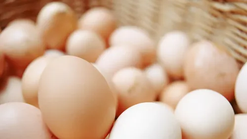 بيض ملون في سلة، يرمز إلى أزمة نقص البيض في الولايات المتحدة بسبب تفشي إنفلونزا الطيور وارتفاع الأسعار.