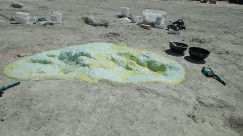 اكتشاف آثار أقدام ديناصور ضخم في أوكسفوردشاير، يوضح تفاصيل المسارات القديمة التي تعود للعصر الجوراسي.