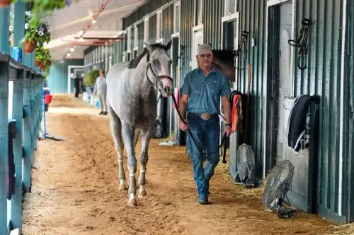 رجل يقود حصانًا رماديًا في ممر مستقر، مع وجود أبواب مستقرة وأدوات سباق خلفهم، استعدادًا لسباق بريكنس ستيكس.