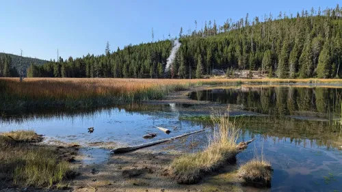 عمود بخار جديد يتصاعد من فتحة حرارية في متنزه يلوستون الوطني، محاط بمستنقع وأشجار، مما يجذب انتباه الزوار.