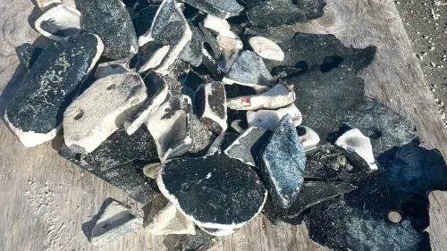 قطع من الحطام الفضائي، تتضمن أجزاء مكسورة من المركبة، متناثرة على سطح خشبي، تعكس آثار الانفجار الذي حدث فوق المحيط الأطلسي.