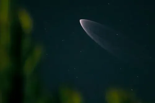 شكل حلزوني متوهج في السماء بعد إطلاق صاروخ فالكون 9، يظهر أثر الوقود المتبقي وهو يتدفق أثناء العودة إلى الغلاف الجوي.