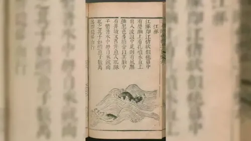 قصيدة قديمة تظهر خنازير البحر في نهر اليانغتسي، تعكس جهود العلماء لفهم تاريخها وتوزيعها.