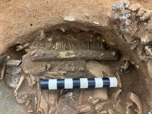 اكتشاف مشط قديم مصنوع من قرن الوعل، مع بقايا حيوانات وعظام بشرية محروقة، في موقع ساتون هوو الأثري.