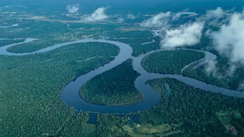 غابات الأمازون الكثيفة في بيرو، مع أنهار متعرجة، تمثل موقع الحادثة التي تعرضت لها مجموعة سياحية.