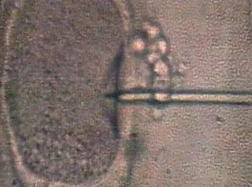 تقنية التلقيح الاصطناعي تظهر عملية دمج الحمض النووي من ثلاثة أشخاص، مما يتيح ولادة أطفال أصحاء ويعطي الأمل للعائلات.