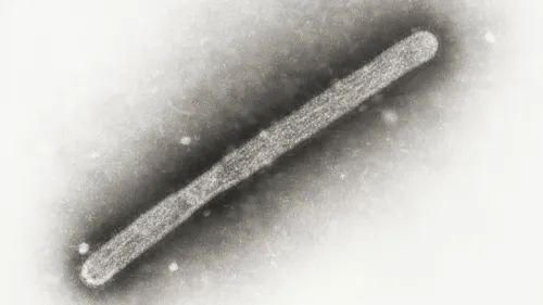 فيروس إنفلونزا الطيور D1.1 يظهر بشكل مجهر، مع تفاصيل دقيقة توضح بنيته، مما يدل على قدرته المتزايدة على الانتقال بين الثدييات.