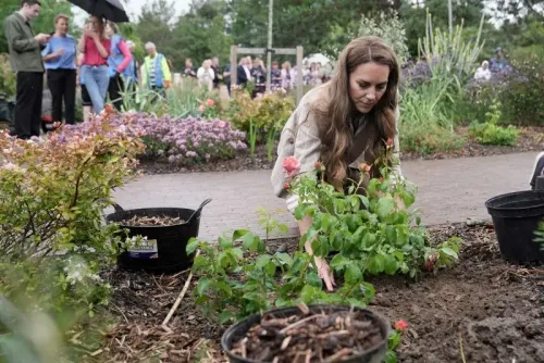 كاثرين، أميرة ويلز، تزرع وردة كاثرين في حديقة مستشفى كولشستر، احتفالًا بأهمية الطبيعة في الصحة والعلاج.