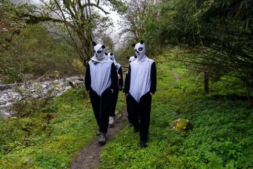 مجموعة من الأشخاص يرتدون أزياء على شكل باندا، يسيرون في ممر طبيعي وسط الأشجار والنباتات الخضراء.