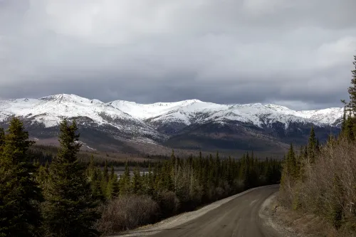 منظر جبلي في متنزه دينالي الوطني بألاسكا، يظهر قمم مغطاة بالثلوج وغابة كثيفة، مما يعكس جمال الطبيعة وأهمية الحذر من الحياة البرية.