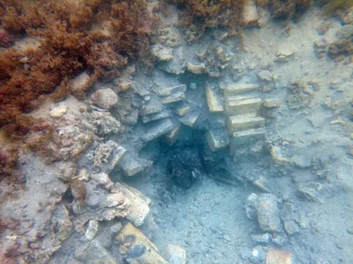 اكتشاف حطام سفينتي الرقيق الدنماركية في كوستاريكا، مع بقايا الطوب الأصفر، يعيد كتابة تاريخ المنطقة ويكشف عن أصولها البحرية.