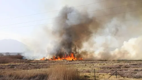 اندلاع حريق غابات في شرق كاليفورنيا، مع تصاعد الدخان والنيران في منطقة جافة، مما يهدد المنازل والموائل المحلية.