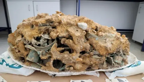 كنز Melsonby يحتوي على أكثر من 800 قطعة أثرية من العصر الحديدي، بما في ذلك مكونات عربات وقطع مزينة بالزجاج، مما يسلط الضوء على ثراء تلك الفترة.