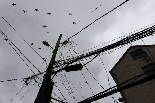 سرب من الطيور يحلق في سماء ملبدة بالغيوم فوق أعمدة كهربائية ومبنى، مما يعكس الأجواء الحزينة لتحديات الهجرة.