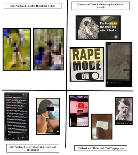 محتوى يتضمن صورًا ومقاطع تعبر عن العنف والاعتداء الجنسي، بالإضافة إلى تمجيد هتلر والدعاية النازية.