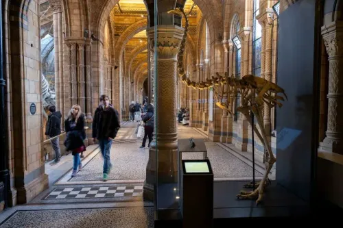 هيكل عظمي لطائر المووا العملاق في متحف، مع زوار يتجولون في الممرات التاريخية، يسلط الضوء على جهود إعادة إحياء الأنواع المنقرضة.